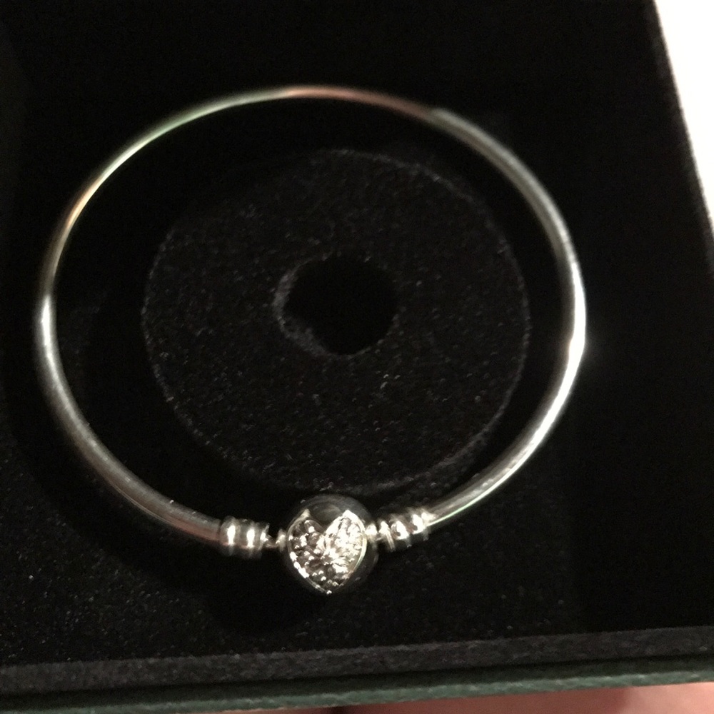 Pandora bangle